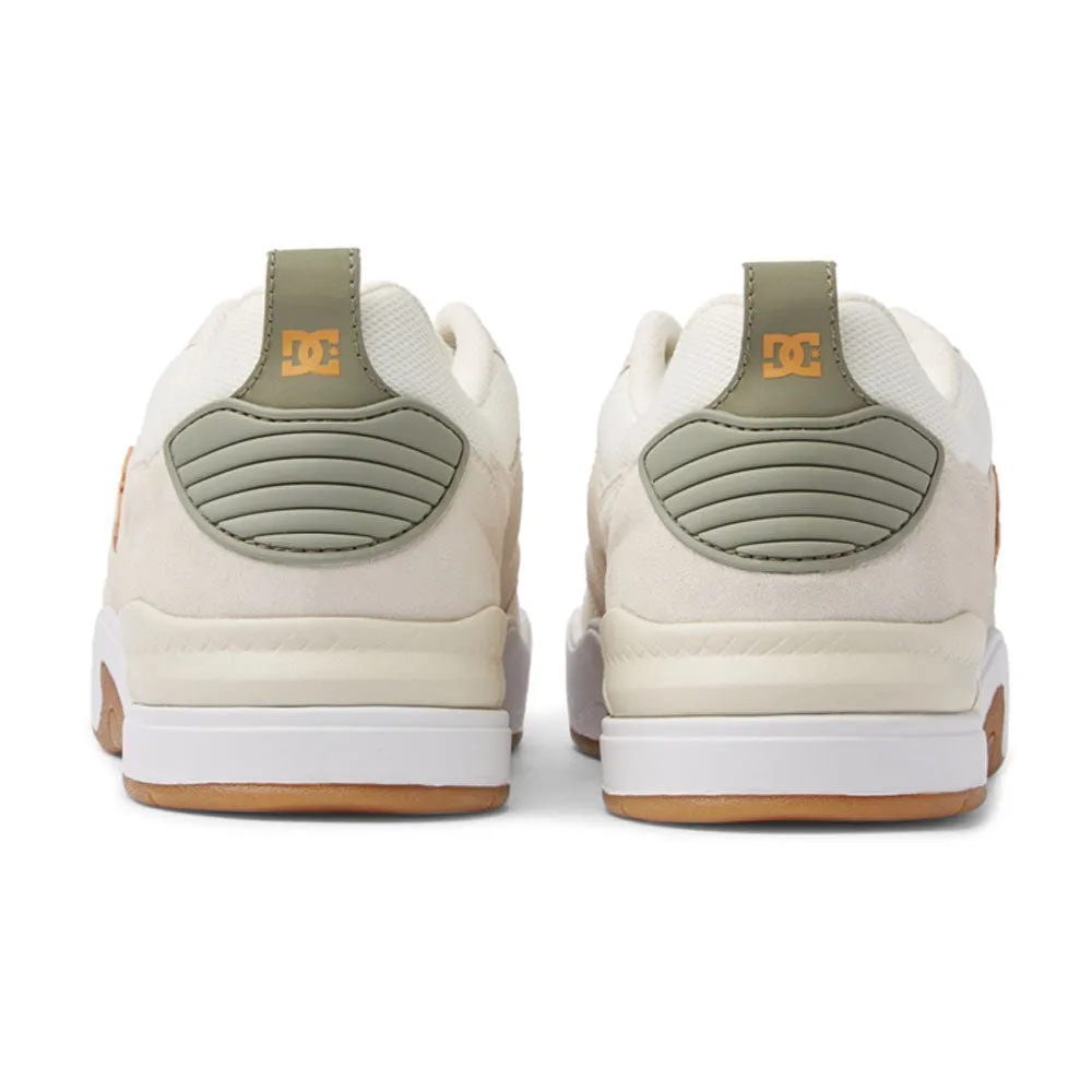 Dc Ascend Men's Shoes
