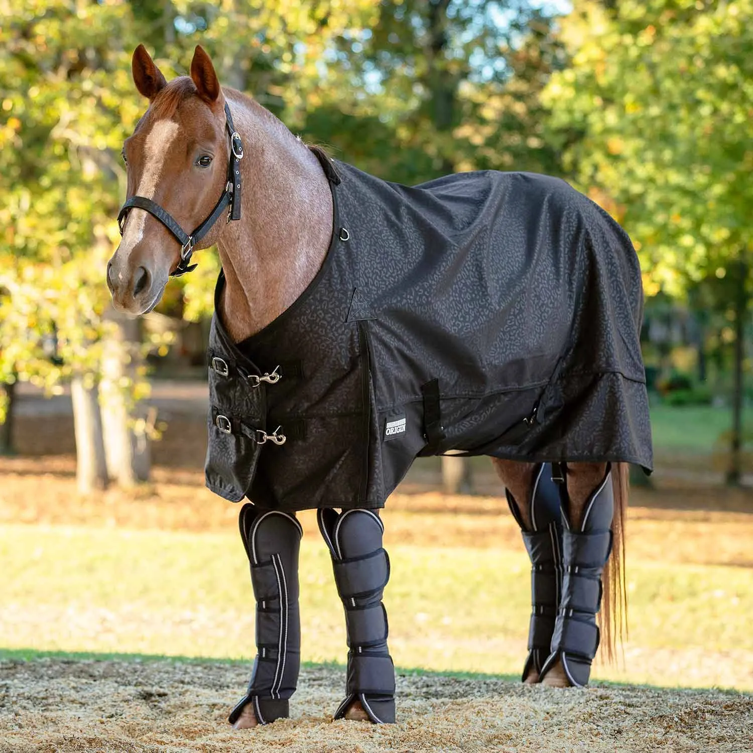 Jeffers Poplar Head Horse Shipping Boots 4-Pack w/ Carry Bag