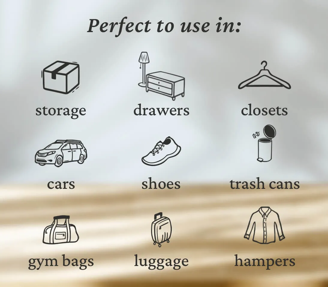 Packs (6 ct.)