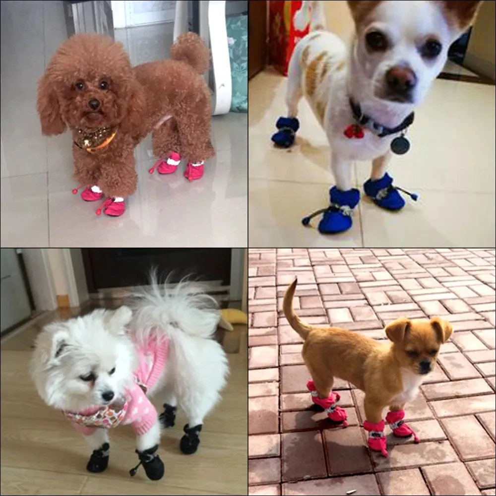 PawGuard Waterproof Dog Shoes - Protect Your Pet's Paws in Style