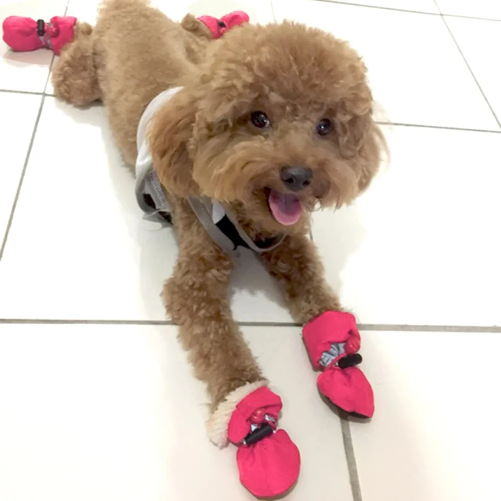 PawGuard Waterproof Dog Shoes - Protect Your Pet's Paws in Style