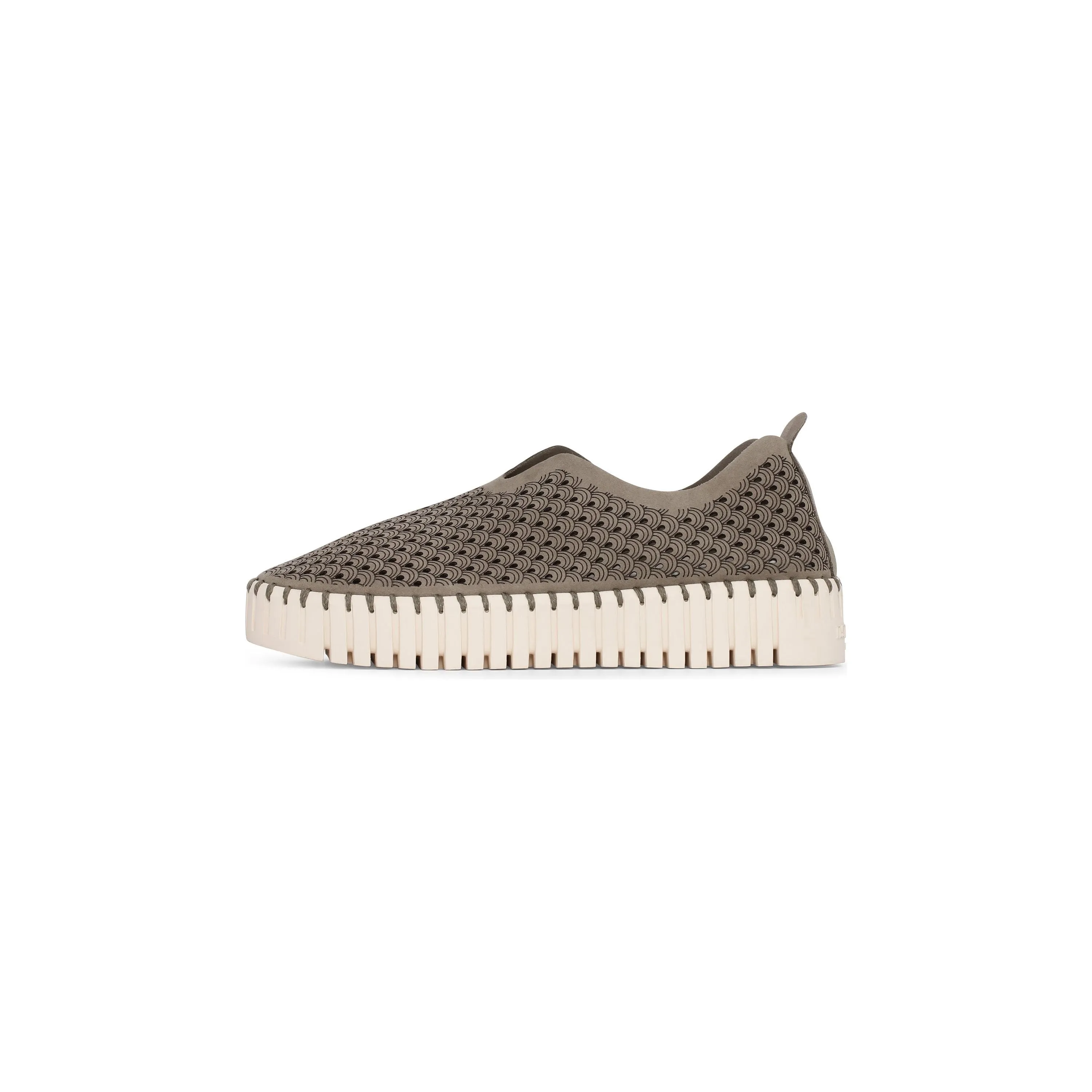 Tulip Platform Flats | Falcon
