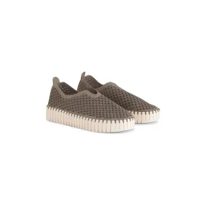 Tulip Platform Flats | Falcon